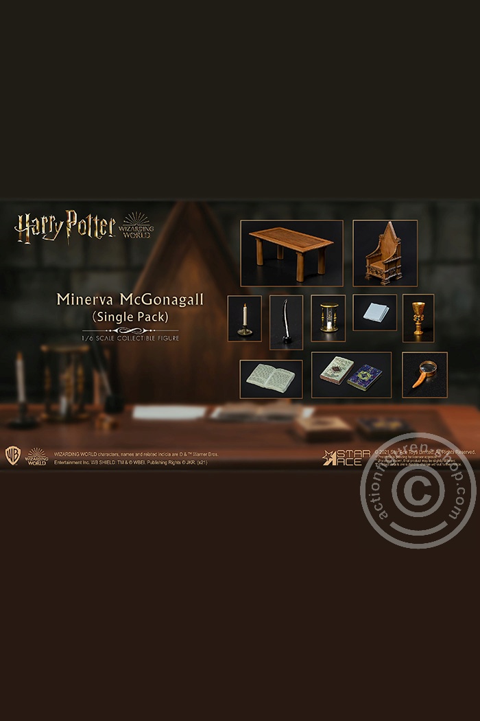 Minerva McGonagall - Desk only (Single pack)