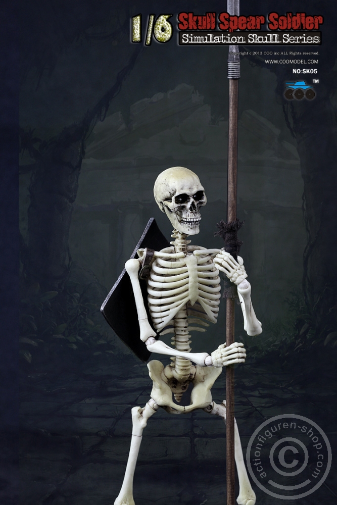 Skeleton Spear Soldier - Human Skeleton in 1:6