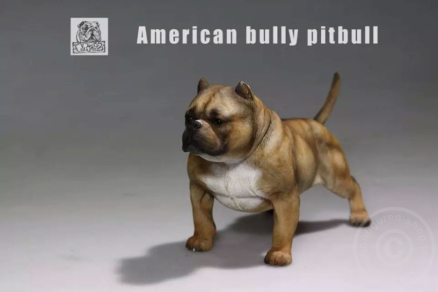 MRZ001-09 American Bully Dog - dark color