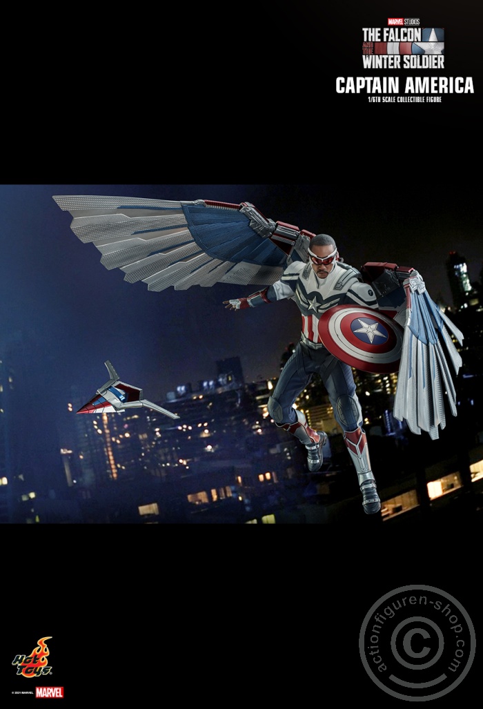 The Falcon and the Winter Soldier - Captain America - TMS040 The Falcon and the Winter Soldier - Captain America - TMS040
