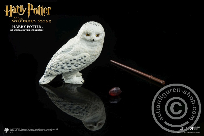 SA-XM001-16 Harry Potter - and The Sorcerers Stone + X-Mas Version
