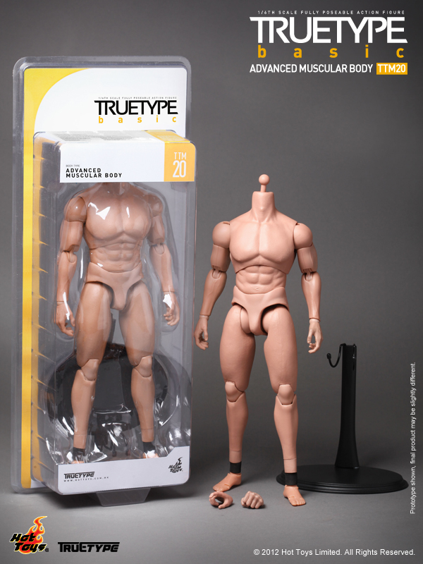 Truetype Figure TTM20 - Advanced Muscular Body