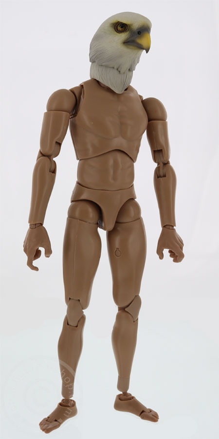 TC-M1007C-06 Vogel Kopf für 1:6 Figuren