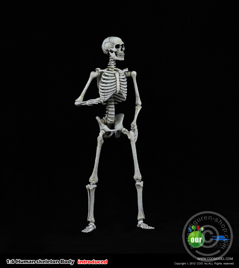 Skeleton Spear Soldier - Human Skeleton in 1:6