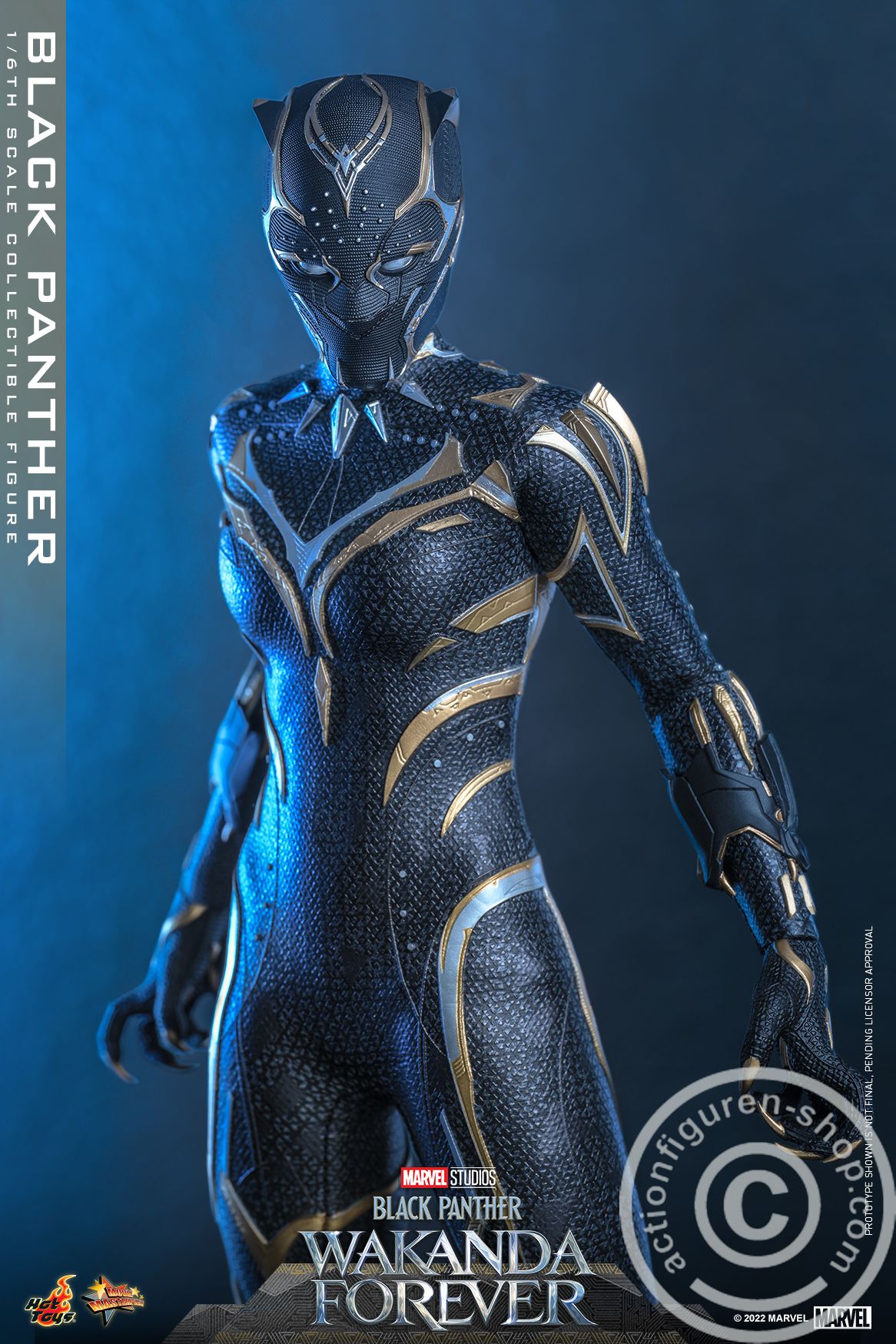 Black Panther: Wakanda Forever - Black Panther