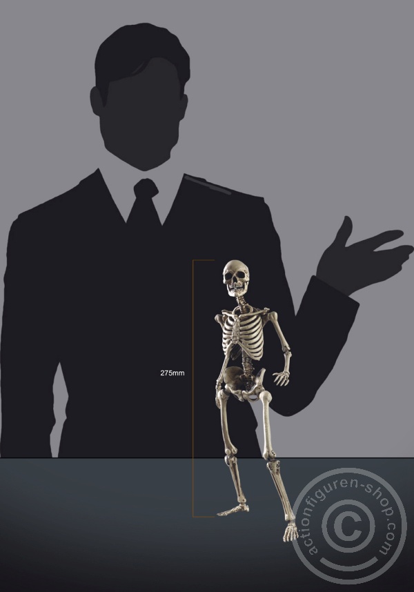 COOBS011-18 The Human Skeleton - DIECAST ALLOY - Attention: with 2 left feet