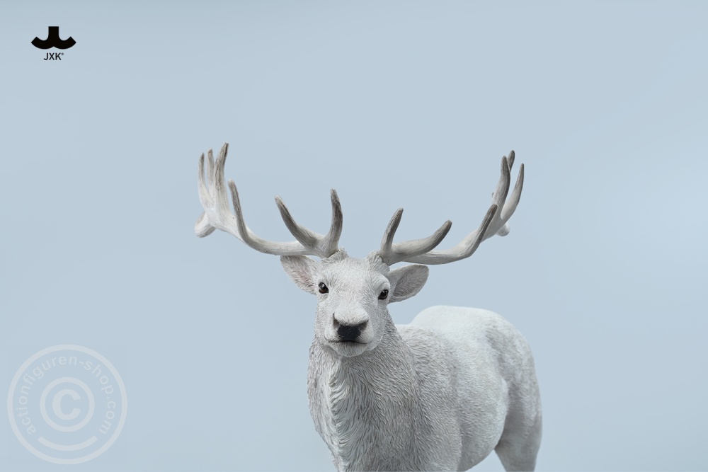 Reindeer - Color C