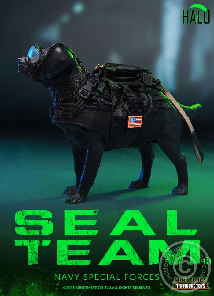 MT-M013-14 SEAL Team - HALO - w/Dog - Navy Special Forces