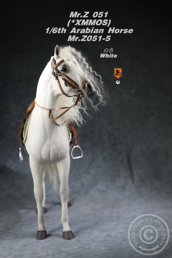MRZ051-05-09 Arabian Horse w/ full European Harness - white