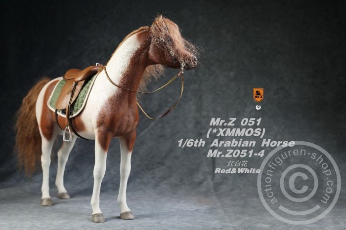 Arabian Horse w/ full European Harness - white-brown