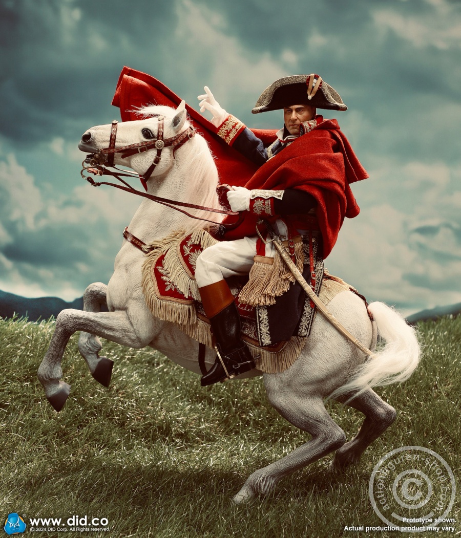Napoleon Bonaparte - Emperor of France Napoleon Bonaparte - Emperor of France