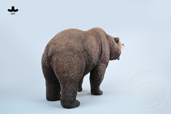 Brown Bear - roaring