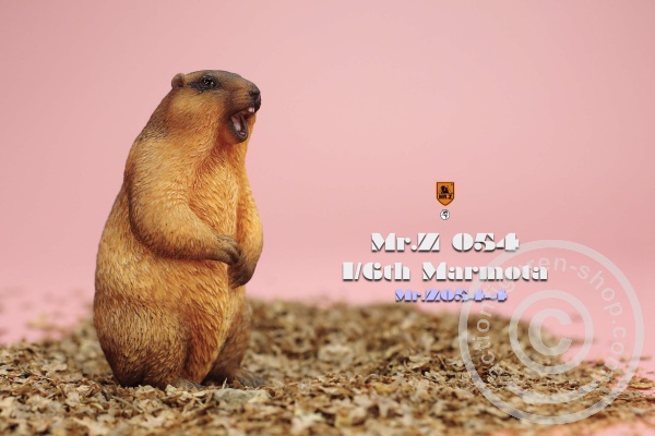 mrz054-04-07uWNQvWiEv2ncp Marmota