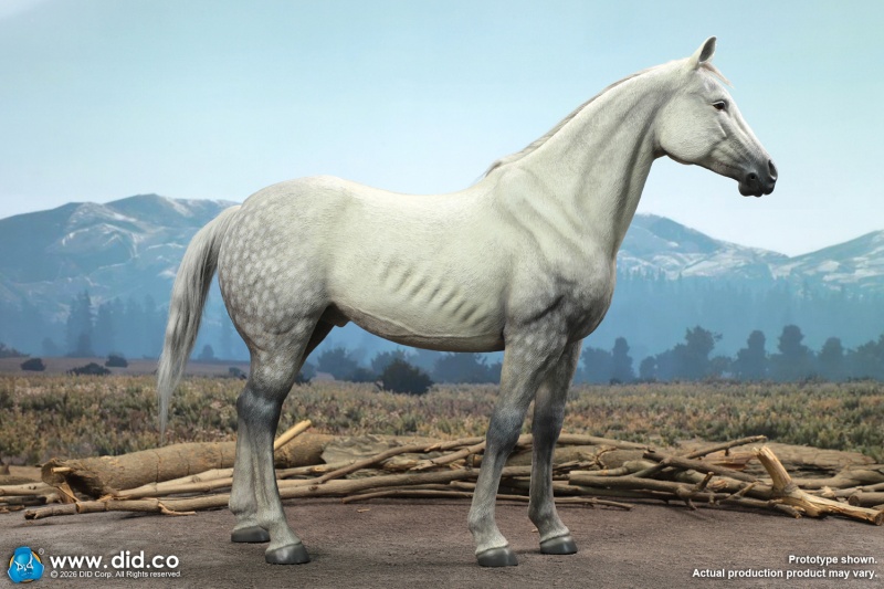 Civil War White War Horse (Standing) - 1/6 scale