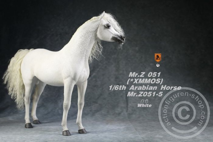 MRZ051-05-05 Arabian Horse w/ full European Harness - white