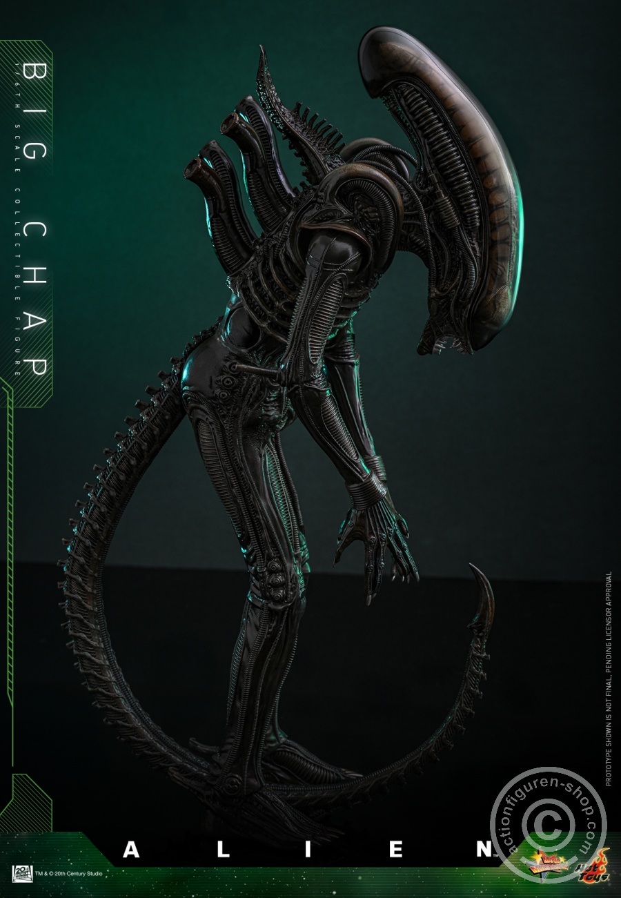 Hot Toys – MMS826 - Alien - 1/6th scale Big Chap Collectible Figure