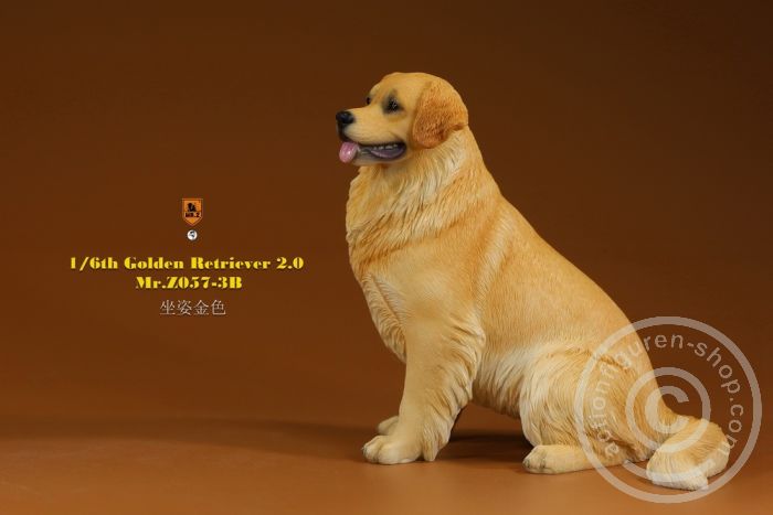MRZ057B-02 Golden Retriever 2.0 - sitting