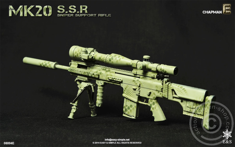 MK20 Sniper Support Rifle - E