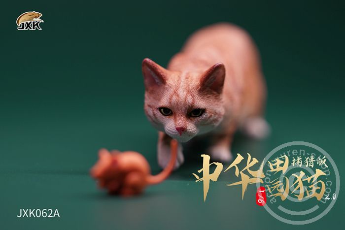 JxK062A-02 Felis catus 2.0