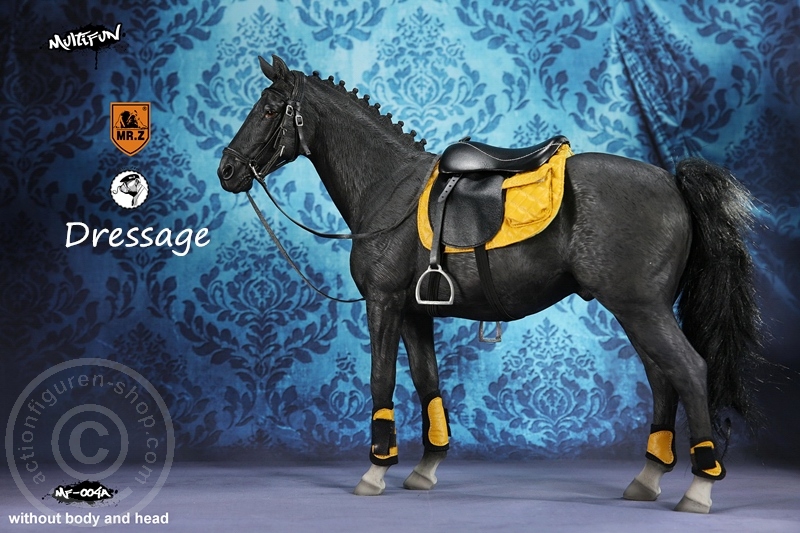 Dressage Set A