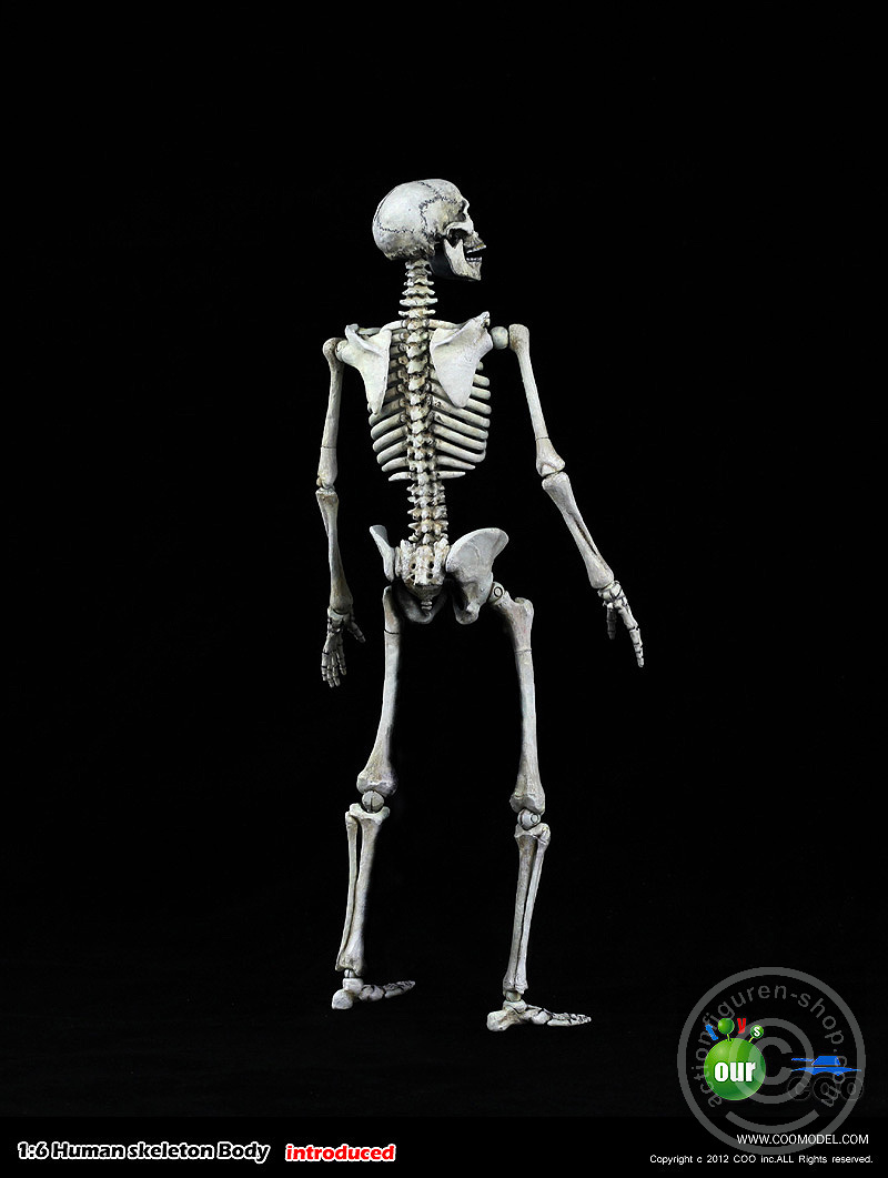 Skeleton Spear Soldier - Human Skeleton in 1:6