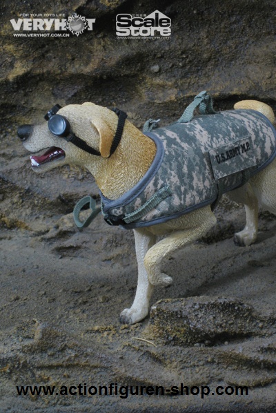 US Army MP mit Hund