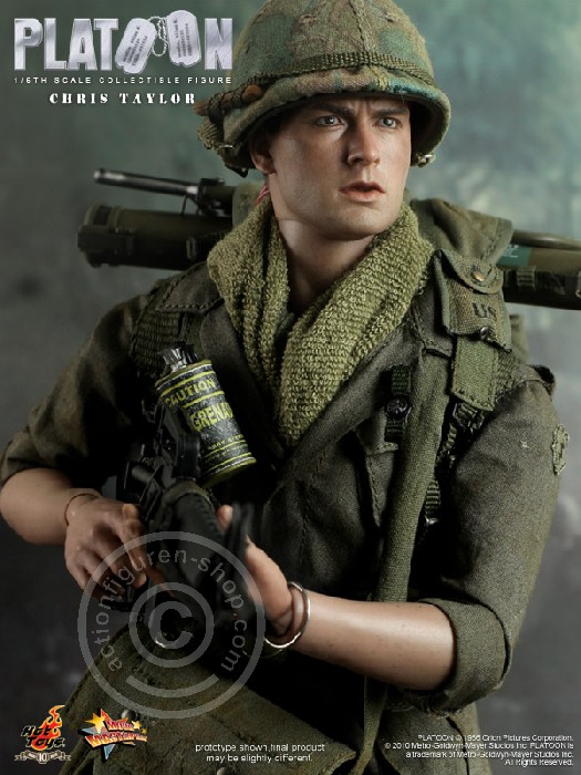 173597-01 Platoon - Chris Taylor