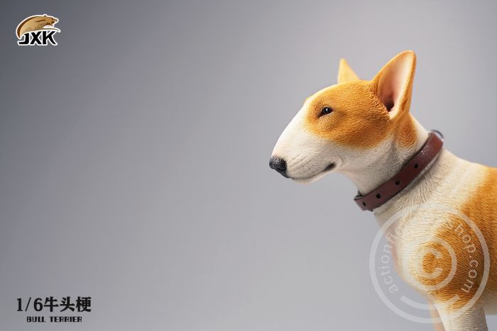 Bull Terrier - white/brown