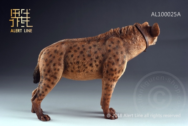 ALL1025AB-03 Crocuta - 1/6 scale