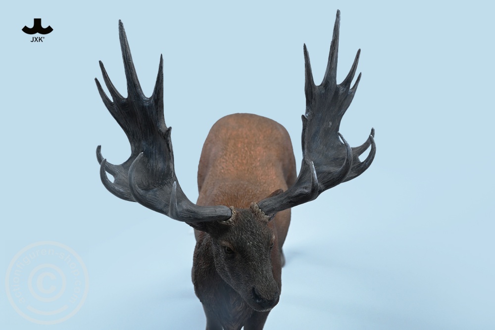 Reindeer - Color A Reindeer - Color A