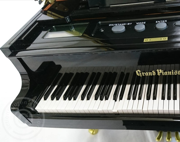 Grand Piano