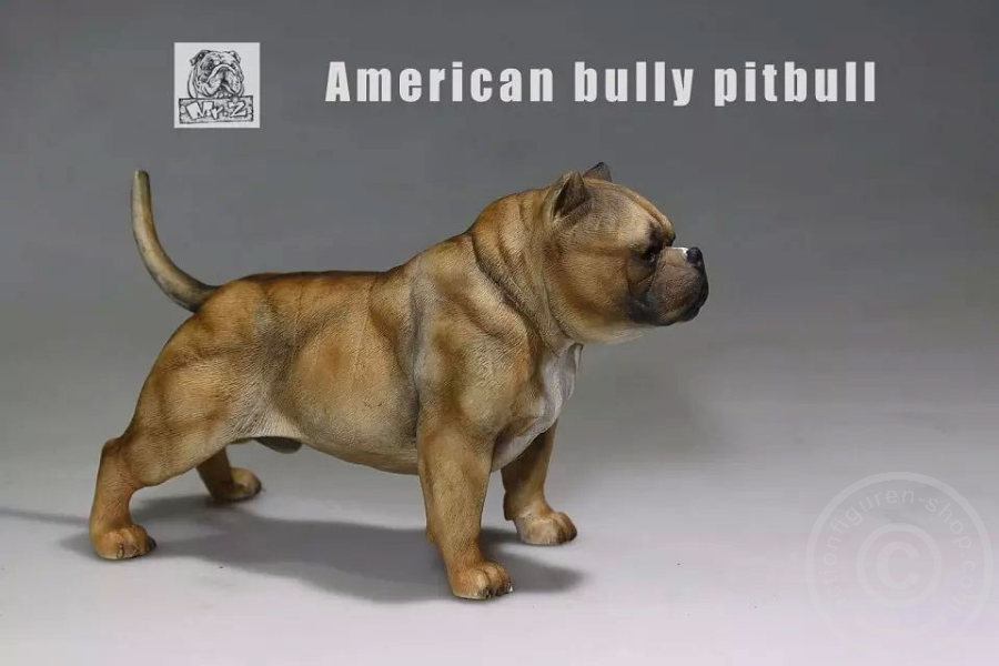 MRZ001-06 American Bully Dog - dark color