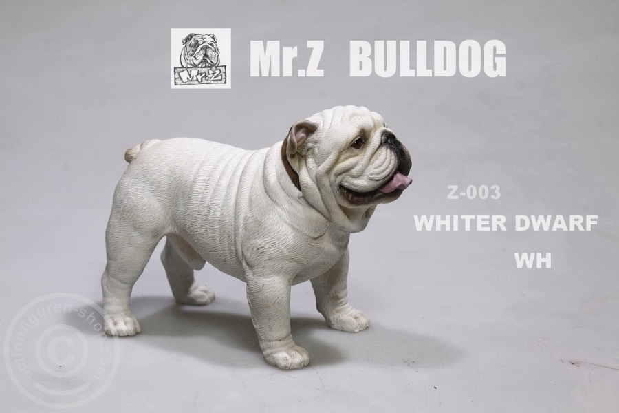 MRZ003-07 British Bulldog - Version 4