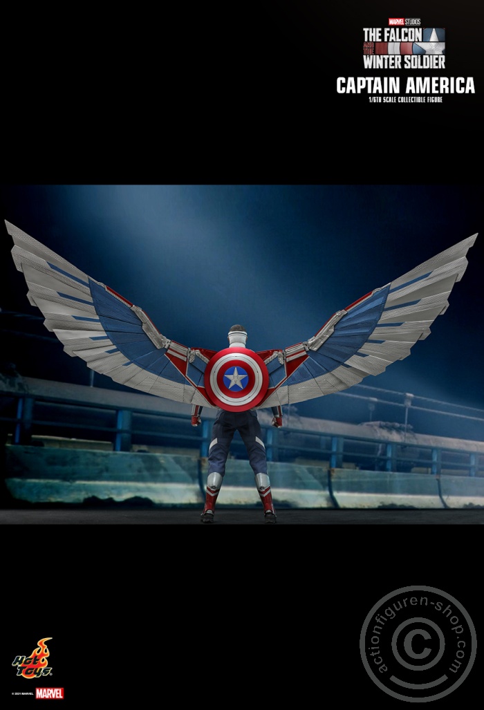 The Falcon and the Winter Soldier - Captain America - TMS040 The Falcon and the Winter Soldier - Captain America - TMS040