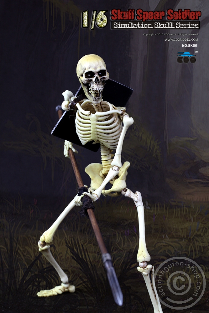 Skeleton Spear Soldier - Human Skeleton in 1:6