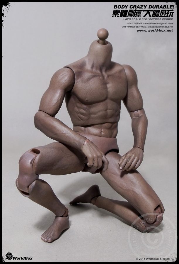 WB-VT005-02 Body - Crazy Durable - Ver. 2.0