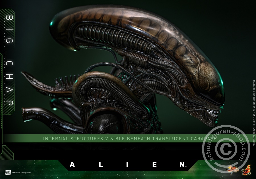 Hot Toys – MMS826 - Alien - 1/6th scale Big Chap Collectible Figure