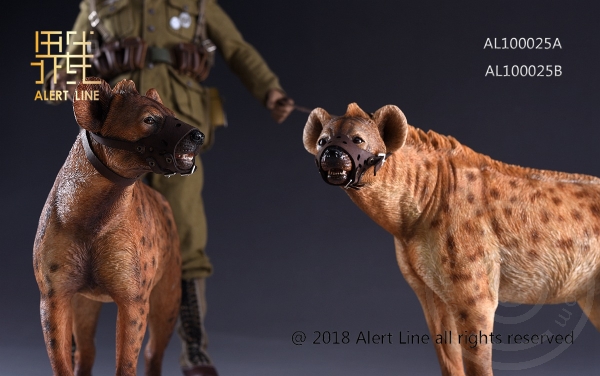 ALL1025AB-228cF5zUDysdY76 Crocuta - 1/6 scale