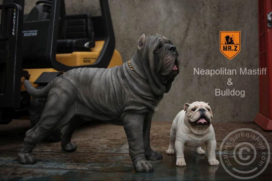 MRZ-NM-D Neapolitan Mastiff - tan