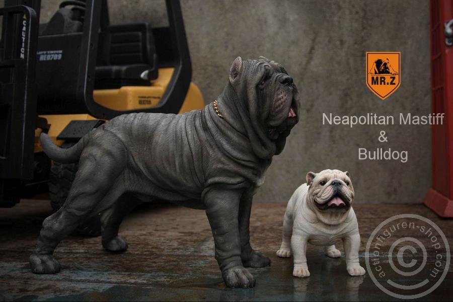 Neapolitan Mastiff - tan