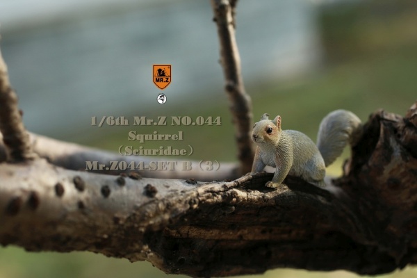MRZ044B-27 3 Squirrel (Set B)