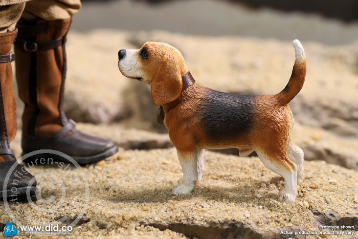 Diorama - "Star of Afrika"