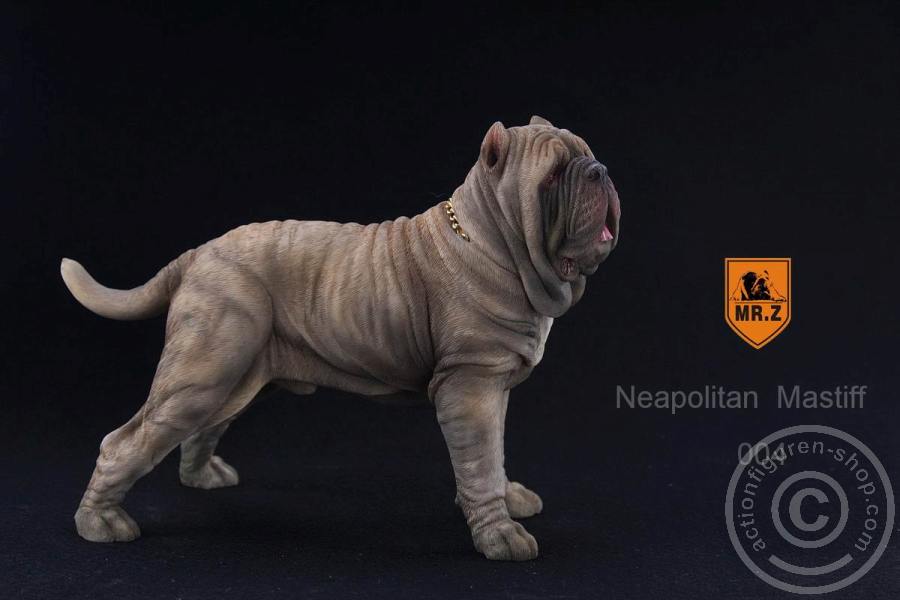 Neapolitan Mastiff - tan