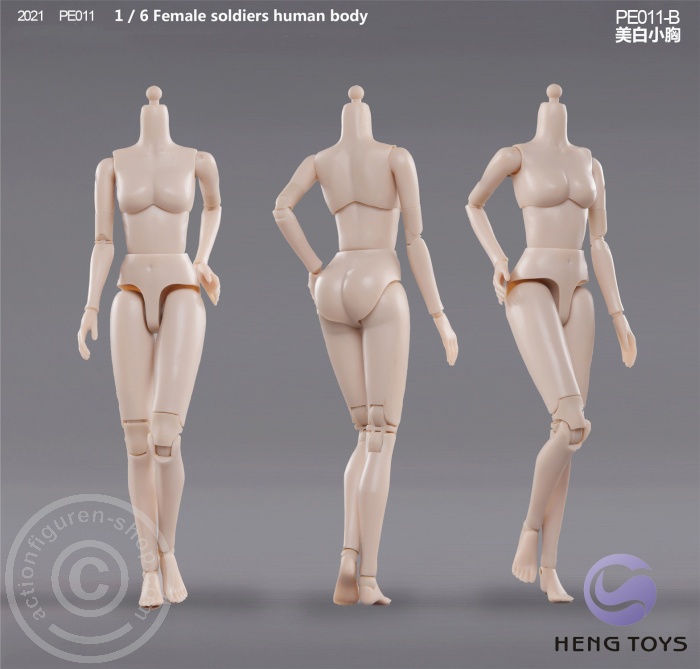 Highly Mobile Female Body - pale/smaller Breast