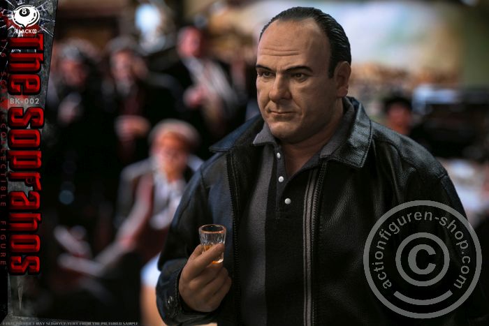 B8-BK002-06 The Sopranos - Tony Soprano