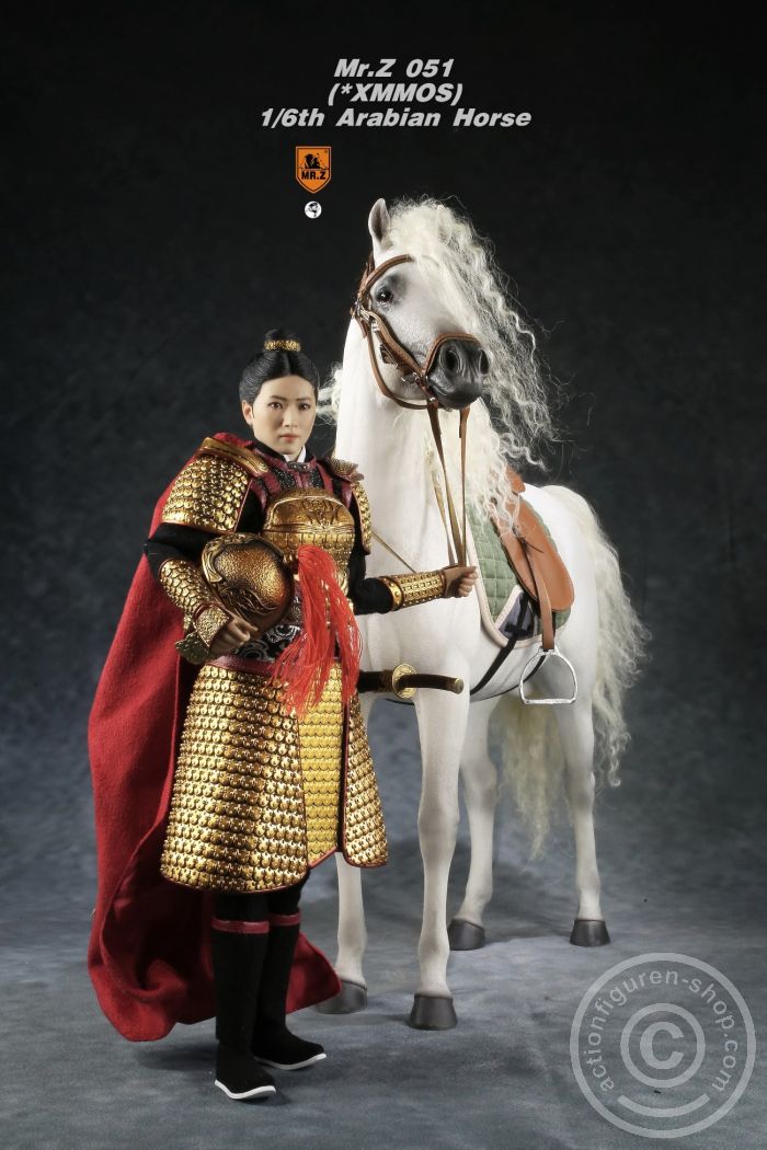 MRZ051-05-07 Arabian Horse w/ full European Harness - white