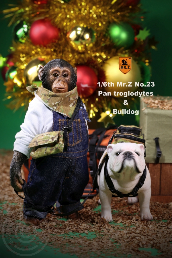 Chimpanzee and Bulldog Set