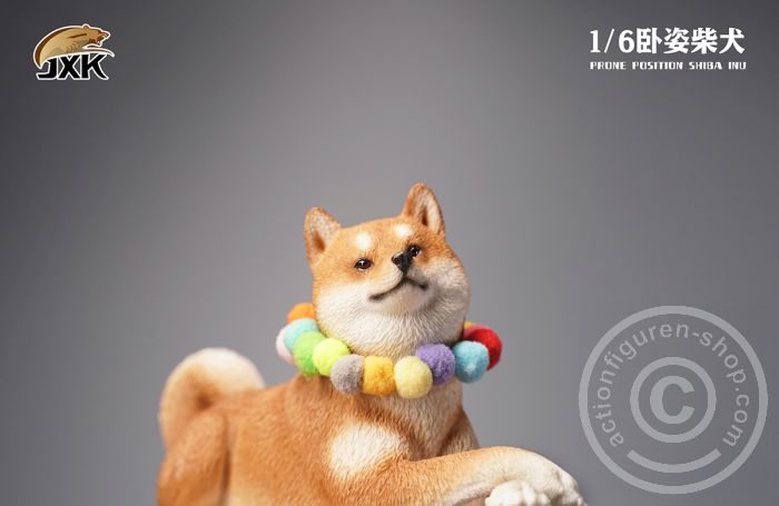 Jxk066A-04 Prone Position Shiba Inu - A