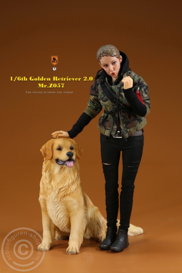 MRZ057-02 Golden Retriever 2.0 - lying
