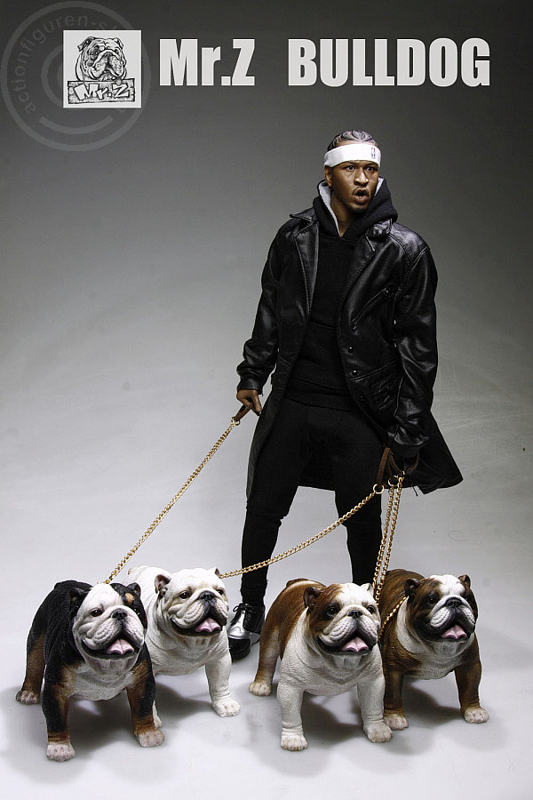MRZ003-006-005 British Bulldog - Version 4